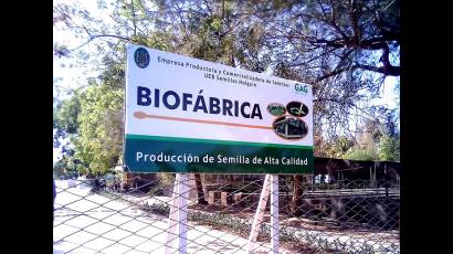 Biofábrica de Holguín