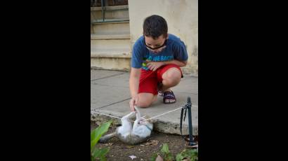 «Nemo es tan cariñoso y gracioso. Es como un hermano para mí», confiesa Fabián. 