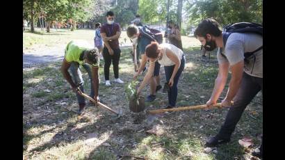 Siembra de árboles por la Unión de Jóvenes Comunistas (UJC) por el cuidado del medio ambiente. 