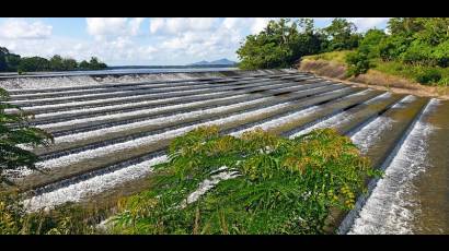 Presa Vietnam