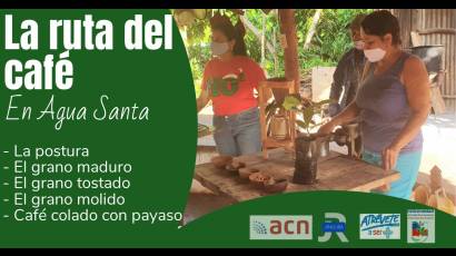 Ruta del café
