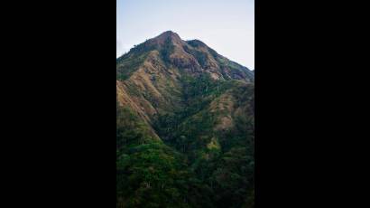 Elevaciones de la Sierra Maestra