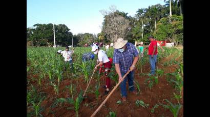 Trabajo Voluntario