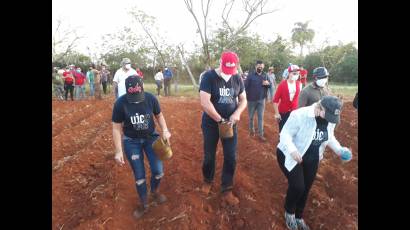 Presidente Díaz-Canel participa en trabajo voluntario