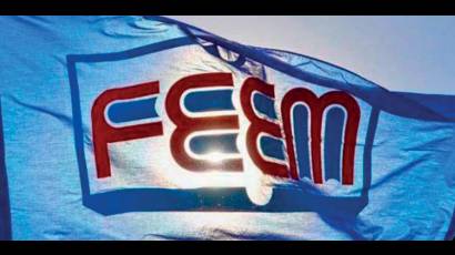 Bandera Feem