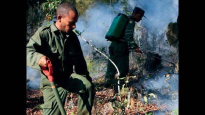 Incendio de grandes proporciones en Pinares de Mayarí