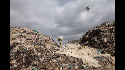 Este año las celebraciones a nivel mundial tienen como temática principal la contaminación por plástico
