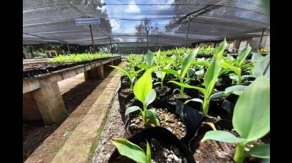 Biofábrica de Holguín