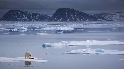 Cover de Noticia 5ibclM_03-11-2017_11.11.06.000000.jpg