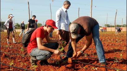 Derechos Laborales