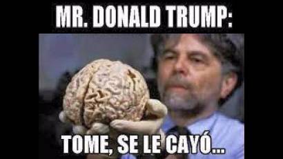 Memes de Donald Trump
