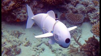 SoFi puede nadar en línea recta, girar o bucear hacia arriba o hacia abajo