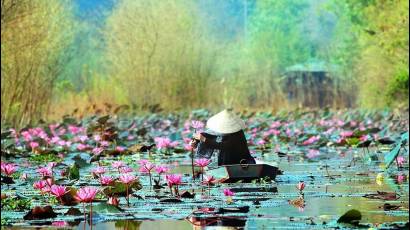 Los colores de Vietnam