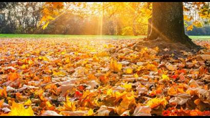 Llega el otoño al hemisferio norte.