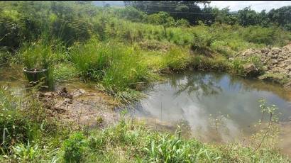 Del agua y sus agregados