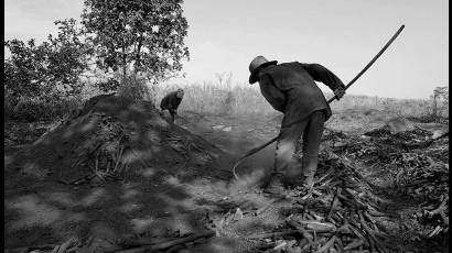 Carboneros en el Batey Villalba en el municipio matancero de Perico