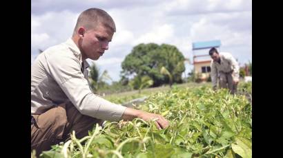 Participar de manera activa en cada tarea productiva