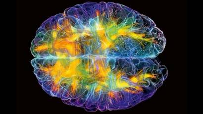 Creación de neuronas