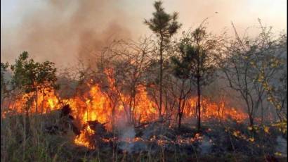 Incendio forestal