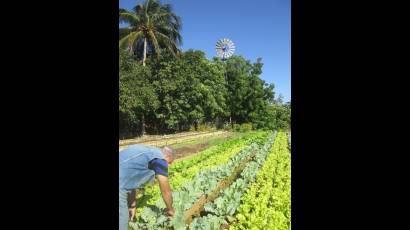 Balance anual de la Agricultura