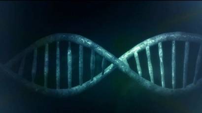 Primer organismo vivo con el código genético completamente rediseñado