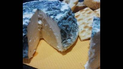 En la provincia de Pinar del Río se producirá queso azul