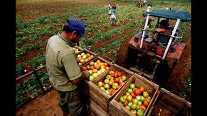 Cooperativas Agropecuarias