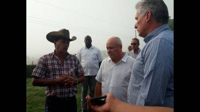 Miguel Díaz-Canel visitó zonas de desarrollo pecuario en Camagüey