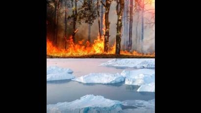 Incendios forestales sin precedentes en el Ártico