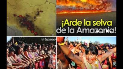 Fuegos en la selva amazónica