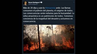 Canciller cubano llamó a enfrentar desastre en la Amazonia