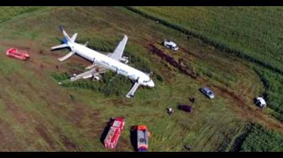 El avión perdió potencia luego de chocar con aves