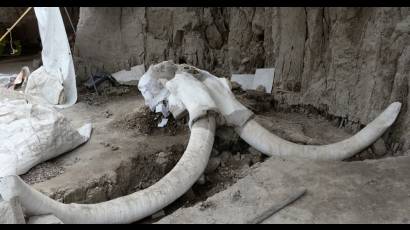 Hallazgo en el aeropuerto de México D.F.