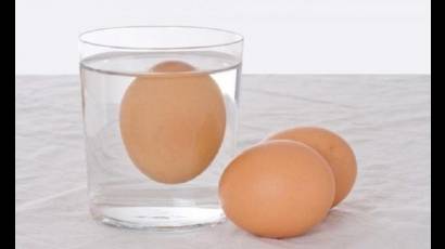 Huevos