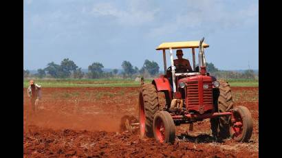 Agricultores cubanos