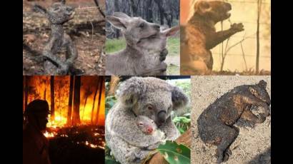 Incendios en Australia