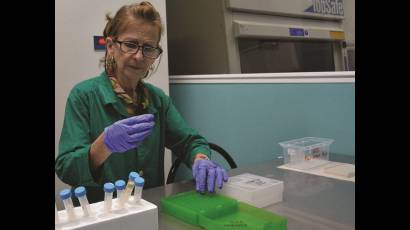 El laboratorio de Microbiología Molecular de Villa Clara