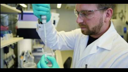 Científicos alemanes buscan cura contra el COVID-19