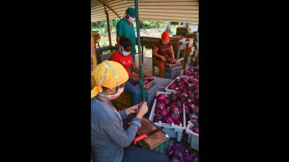 Las labores relacionadas con la alimentación también cuentan con el apoyo y el entusiasmo de los jóvenes.