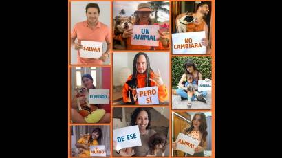 Artistas, comunicadores, youtubers cubanos en el día del perro