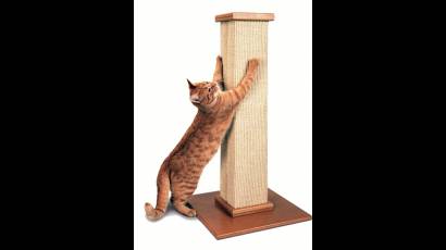 Rascador vertical para gatos