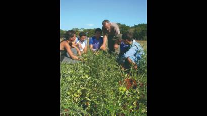 Obrero calificado  en la especialidad  de Agropecuaria