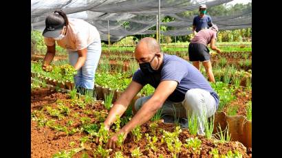 Jóvenes cultivando en un organopónico