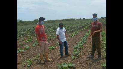 Jóvenes que cultivan la tierra para el pueblo