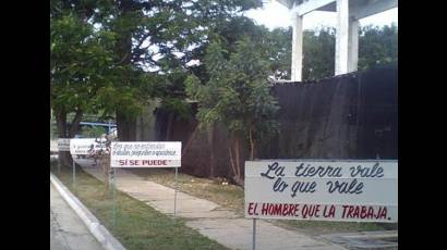 La biofábrica holguinera