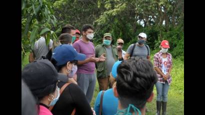 Apoyan contingentes juveniles la recuperación