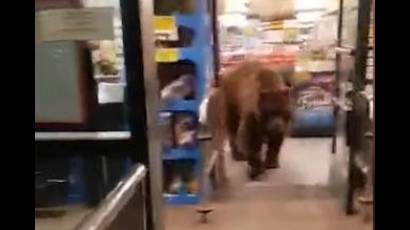 El cliente que salió de un grocery en Kings Beach, California, llamó la atención de inmediato y le cedieron el paso, sin cobrarle la «compra»
