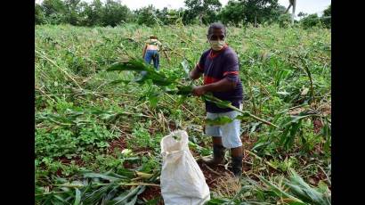 Cuba en Fase Recuperativa