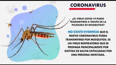 No está comprobado que las picaduras de mosquitos transmitan el coronavirus