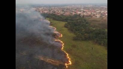 hectáreas del Pantanal consumidas por las llamas